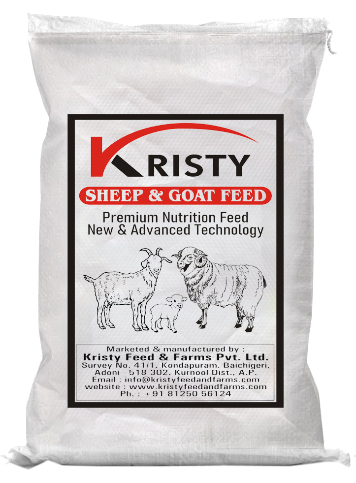 Sheep and goat feed